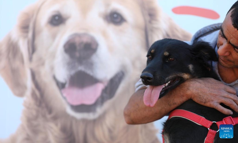 A staff member interacts with a dog at a public veterinary center in the West Bank city of Ramallah, on Nov. 19, 2022. To solve the long-standing problem of stray animals in the streets, the Palestinian city of Ramallah has established its first public veterinary center to treat these poor animals in the region.(Photo: Xinhua)