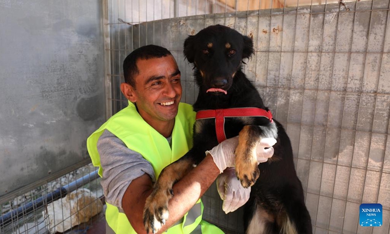 A staff member interacts with a dog at a public veterinary center in the West Bank city of Ramallah, on Nov. 19, 2022. To solve the long-standing problem of stray animals in the streets, the Palestinian city of Ramallah has established its first public veterinary center to treat these poor animals in the region.(Photo: Xinhua)