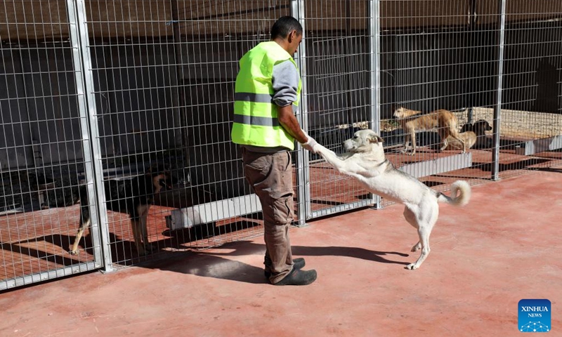 A staff member interacts with a dog at a public veterinary center in the West Bank city of Ramallah, on Nov. 19, 2022. To solve the long-standing problem of stray animals in the streets, the Palestinian city of Ramallah has established its first public veterinary center to treat these poor animals in the region.(Photo: Xinhua)