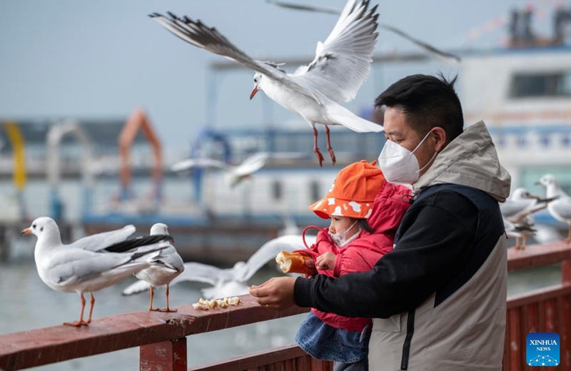 Visitors feed black-headed gulls at Haigeng east pier in Kunming, southwest China's Yunnan Province, Dec. 24, 2022. (Xinhua/Chen Xinbo)