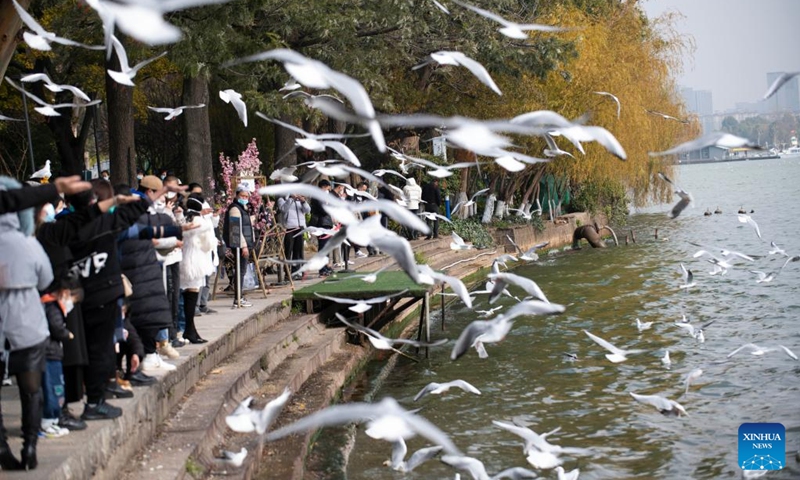 Visitors feed black-headed gulls at the Haigeng Park in Kunming, southwest China's Yunnan Province, Dec. 24, 2022. (Xinhua/Chen Xinbo)