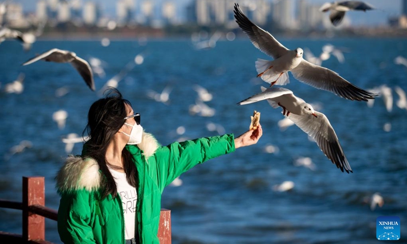 A visitor feeds black-headed gulls at the Haigeng Park in Kunming, southwest China's Yunnan Province, Dec. 23, 2022. (Xinhua/Chen Xinbo)