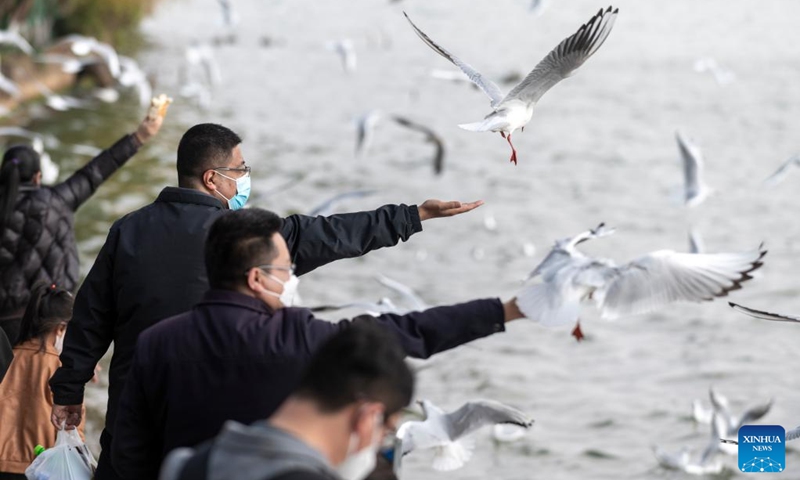 Visitors feed black-headed gulls at the Haigeng Park in Kunming, southwest China's Yunnan Province, Dec. 24, 2022. (Xinhua/Chen Xinbo)