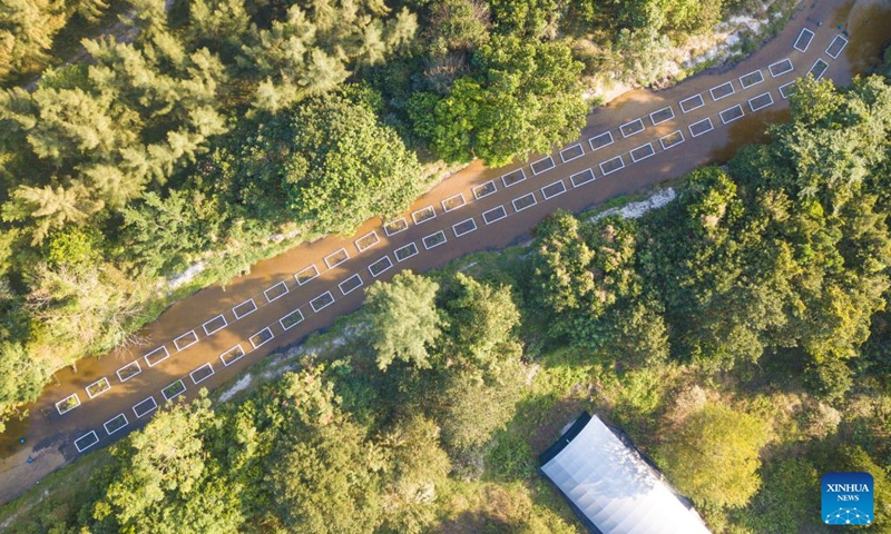 This aerial photo taken on Dec. 24, 2022 shows artificial floating islands installed on a tributary of the Baoling River in Wenchang, south China's Hainan Province. Since this autumn, Wenchang has installed more than 2,700 artificial floating islands with aquatic plants atop on the tributaries of local rivers to help purify the water. (Xinhua/Pu Xiaoxu)