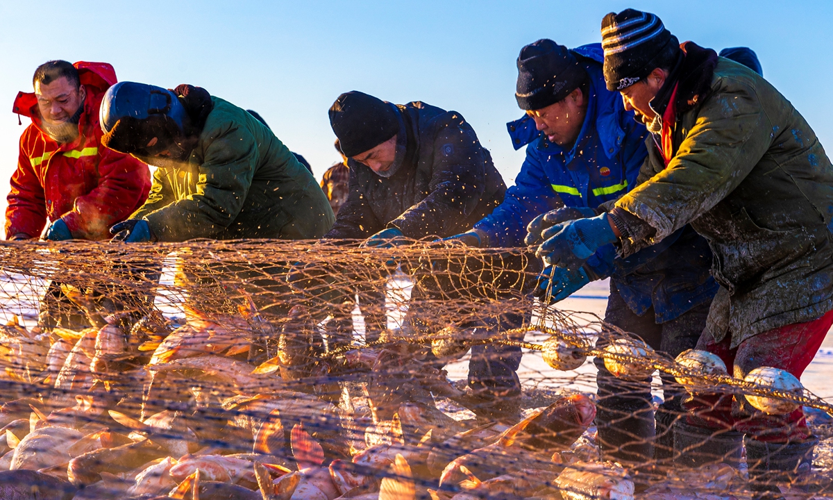 Residents are busy catching fish in Chagan Lake of Northeast China's Jilin Province on December 26, 2022, as winter fishing began. This year's winter fishing season in Chagan Lake will last until February 2023, and the total catch is expected to reach 1,500 tons.Photo: VCG