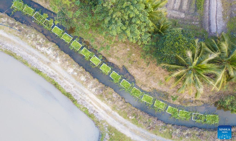 This aerial photo taken on Dec. 25, 2022 shows artificial floating islands installed on a tributary of the Wenjiao River in Wenchang, south China's Hainan Province. Since this autumn, Wenchang has installed more than 2,700 artificial floating islands with aquatic plants atop on the tributaries of local rivers to help purify the water. (Xinhua/Pu Xiaoxu)