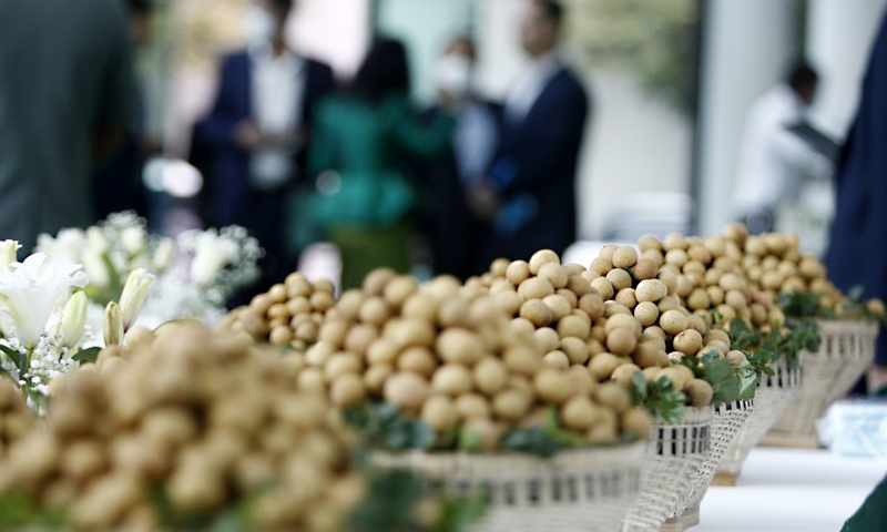 Longan fruits are on display at the launching ceremony of Cambodian longan export to China, in Phnom Penh, Cambodia, on Oct. 27, 2022. (Photo by Phearum/Xinhua)