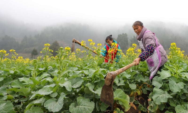 Farmers work in a field in Cengong County, Qiandongnan Miao and Dong Autonomous Prefecture, southwest China's Guizhou Province, Feb. 18, 2023. Yushui (Rain Water), the second of China's 24 solar terms, falls on Feb. 19 in the year 2023. The arrival of Yushui will see rises in temperature, more frequent rainfall, and a wave of spring farming activities across China. Photo: Xinhua