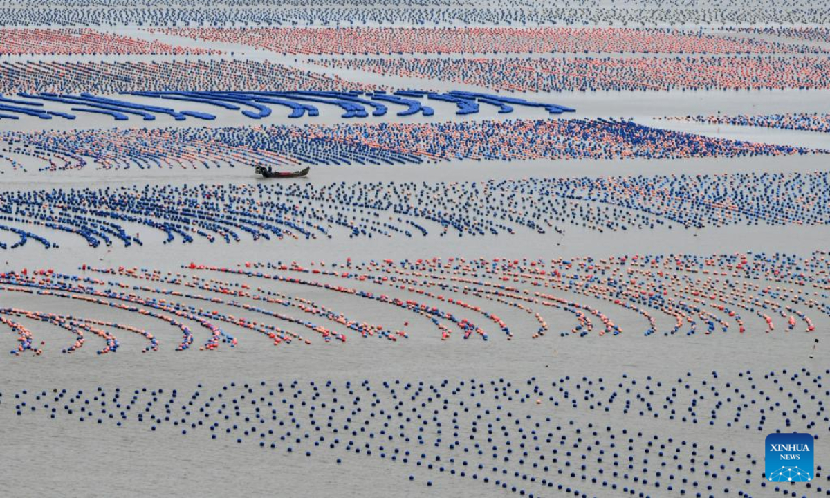 This aerial photo taken on Jan 5, 2023 shows fishermen working at a marine ranch in Lianjiang County of Fuzhou, southeast China's Fujian Province. Photo:Xinhua