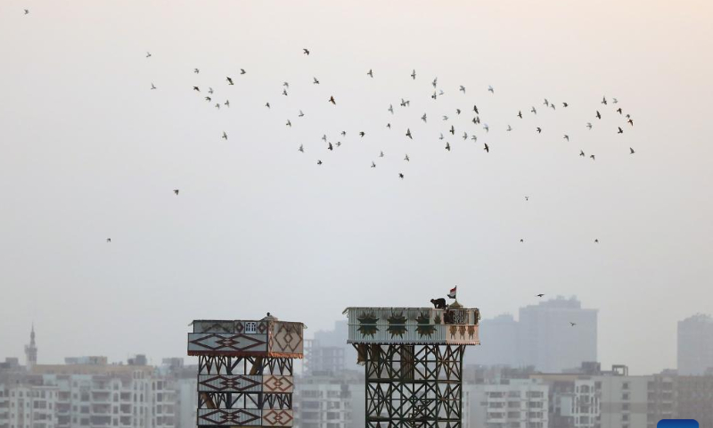 Pigeon lofts are seen on top of buildings in Cairo, Egypt, Jan. 29, 2023. Photo: Xinhua