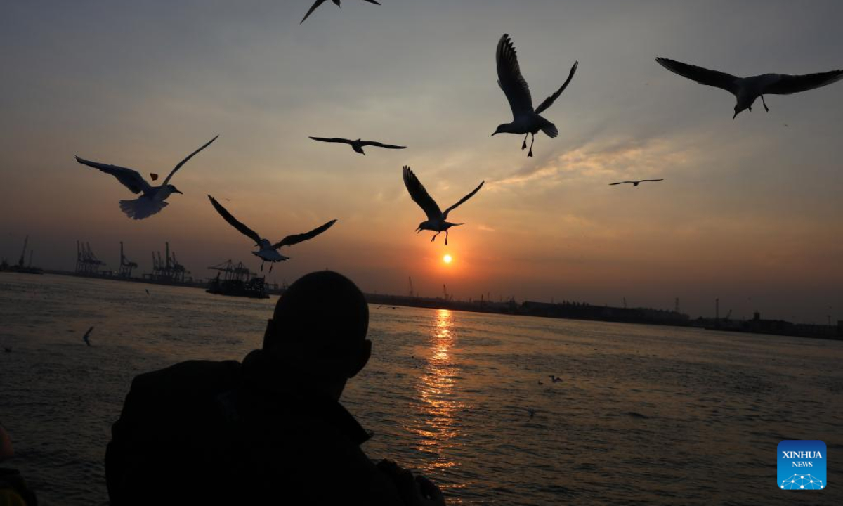 Gulls are seen over the Suez Canal at sunset in Port Said, Egypt, on Jan 5, 2023. Photo:Xinhua