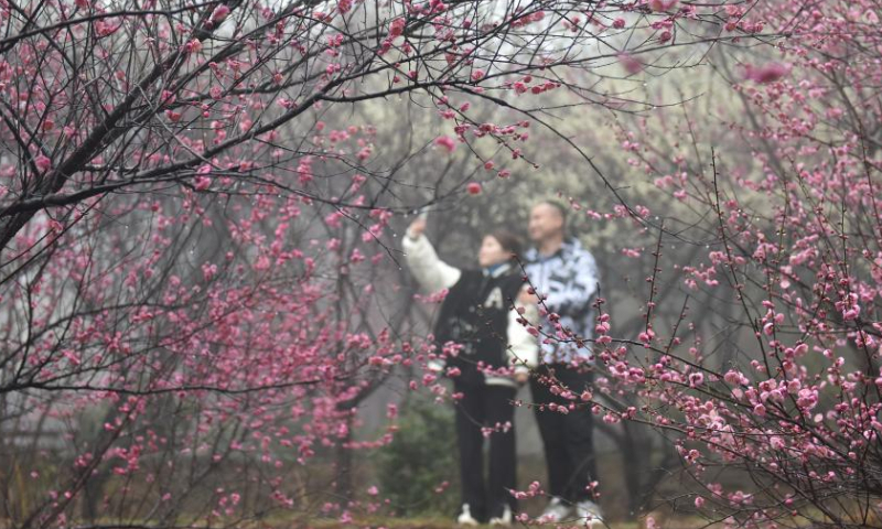 Tourists enjoy themselves at Hengshan Mountain scenic area in Hengyang, central China's Hunan Province, Feb. 11, 2023. Photo: Xinhua