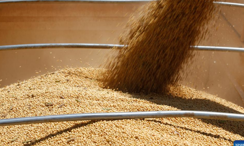 A farming machine harvests soybeans at the Nativa farm near Brasilia, Brazil, Feb. 11, 2023. Photo: Xinhua