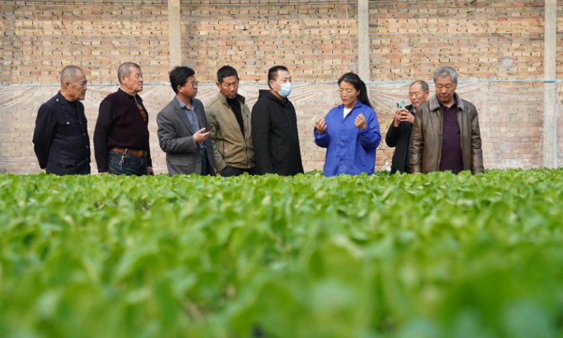 Zhang Shasha (3rd R) briefs visitors on seedling cultivation at her cooperative in Suning County, north China's Hebei Province, Feb. 17, 2023. 33-year-old Zhang Shasha runs a specialized cooperative for vegetables based in Suning County, her hometown. She started this vegetables business together with her husband in 2015. Photo: Xinhua