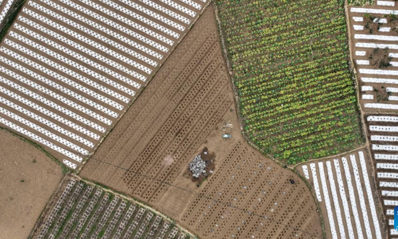 This aerial photo taken on Feb. 18, 2023 shows villagers working at a vegetable base in Duanqiao Town of Guanling Buyi and Miao Autonomous County, southwest China's Guizhou Province. Yushui (Rain Water), the second of China's 24 solar terms, falls on Feb. 19 in the year 2023. The arrival of Yushui will see rises in temperature, more frequent rainfall, and a wave of spring farming activities across China. Photo: Xinhua