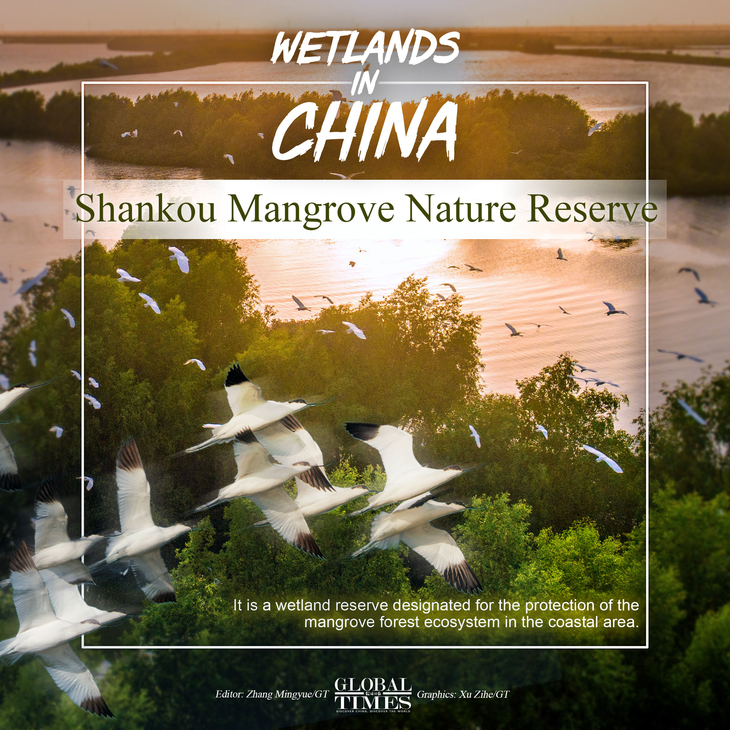 Wetlands in China. Editor: Zhang Mingyue/GT Graphics: Xu Zihe/GT