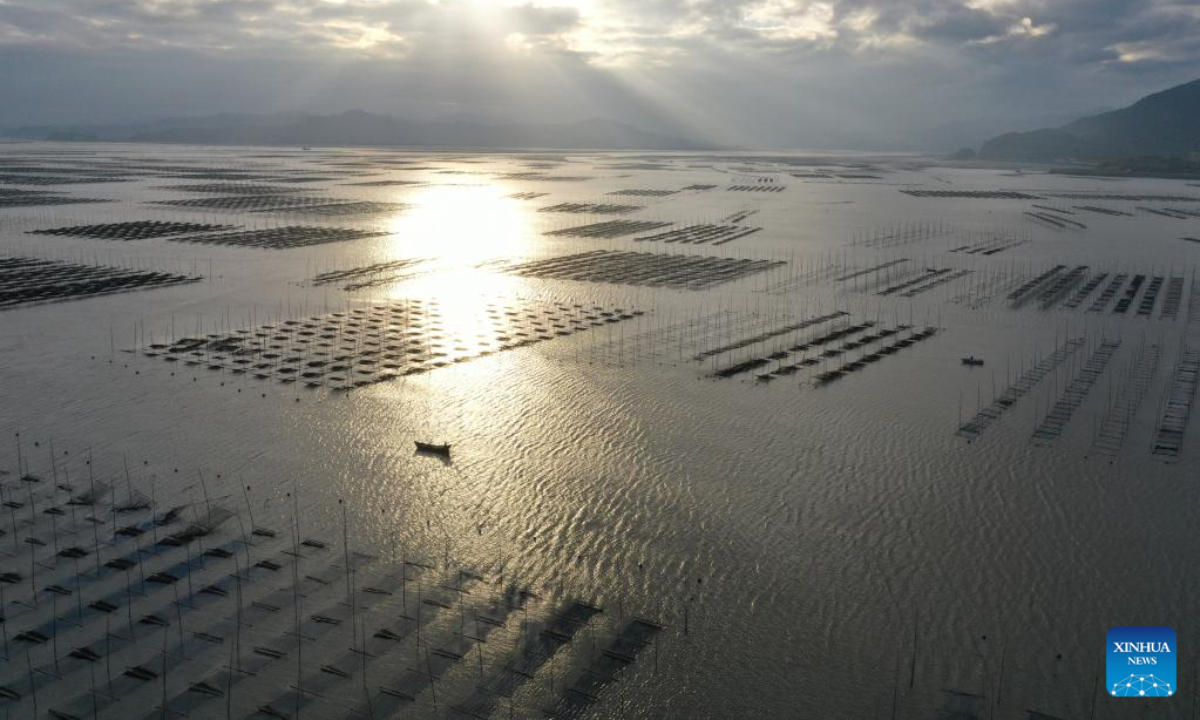 This aerial photo taken on Jan 5, 2023 shows fishermen working at a marine ranch in Lianjiang County of Fuzhou, southeast China's Fujian Province. Photo:Xinhua