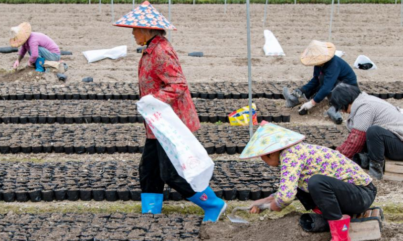 Farmers work in a field in Sumeng Town of Jinhua City, east China's Zhejiang Province, Feb. 18, 2023. Yushui (Rain Water), the second of China's 24 solar terms, falls on Feb. 19 in the year 2023. The arrival of Yushui will see rises in temperature, more frequent rainfall, and a wave of spring farming activities across China. Photo: Xinhua