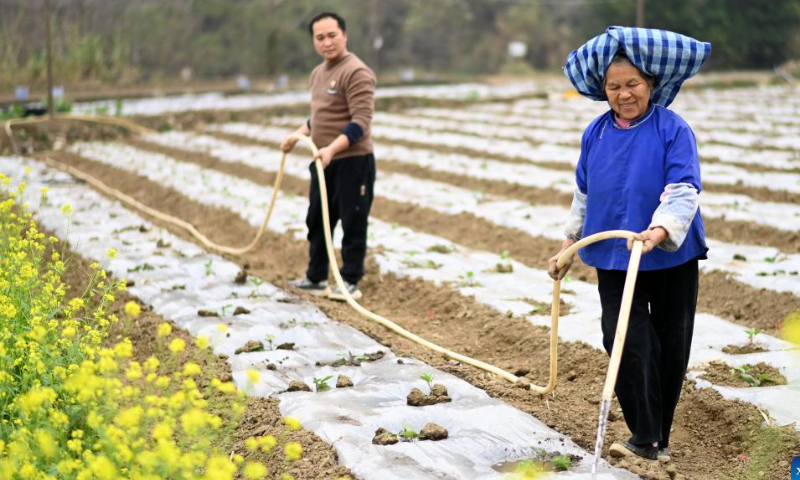 Villagers work at a vegetable base in Duanqiao Town of Guanling Buyi and Miao Autonomous County, southwest China's Guizhou Province, Feb. 18, 2023. Yushui (Rain Water), the second of China's 24 solar terms, falls on Feb. 19 in the year 2023. The arrival of Yushui will see rises in temperature, more frequent rainfall, and a wave of spring farming activities across China. Photo: Xinhua