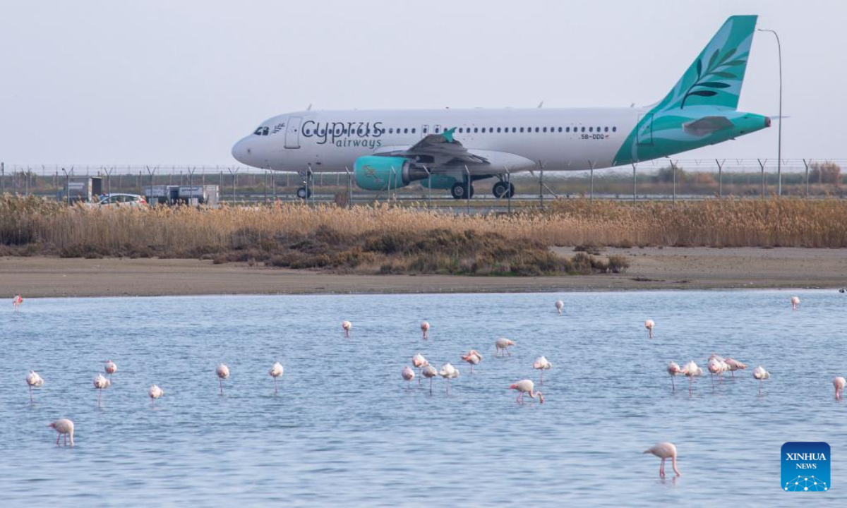 Flamingos are seen in Larnaca Salt Lake, Cyprus, Jan 6, 2023. Photo:Xinhua