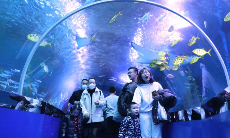 Tourists visit Royal Ocean Park in Shenyang, northeast China's Liaoning Province, Feb. 11, 2023. Photo: Xinhua