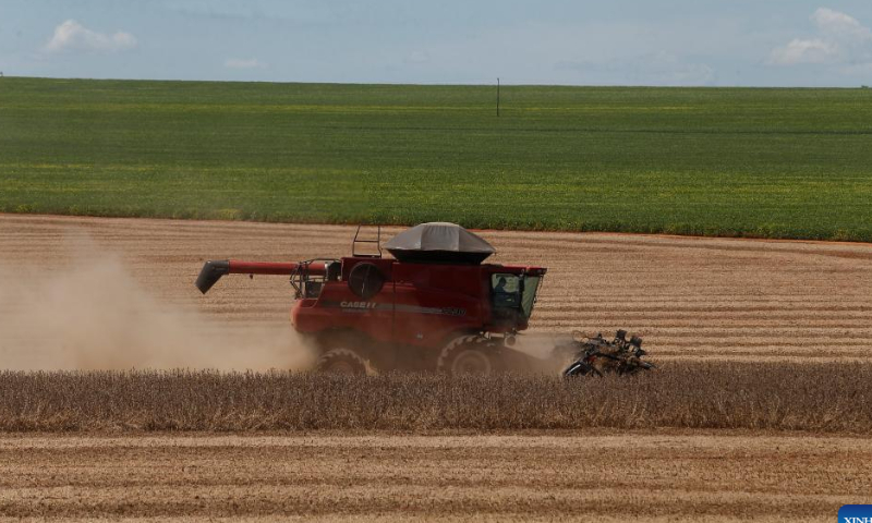 A farming machine harvests soybeans at the Nativa farm near Brasilia, Brazil, Feb. 11, 2023. Photo: Xinhua