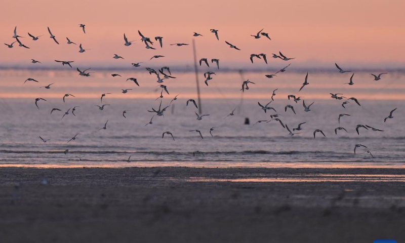 This photo taken on Feb. 1, 2023 shows the scenery of the beach of Weitou Bay in Jinjiang, southeast China's Fujian Province. Photo: Xinhua