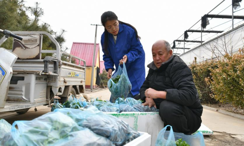 Zhang Shasha (L) helps a client to pack seedlings at her cooperative in Suning County, north China's Hebei Province, Feb. 17, 2023. 33-year-old Zhang Shasha runs a specialized cooperative for vegetables based in Suning County, her hometown. She started this vegetables business together with her husband in 2015. Photo: Xinhua