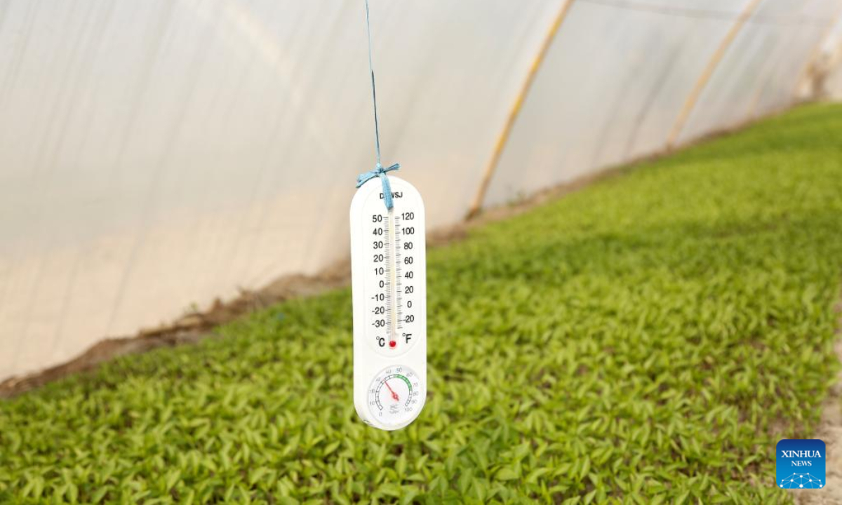 This photo taken on Jan 16, 2023 shows a temperature gauge in a greenhouse of the Pakistan-China red chili project in Multan, Pakistan. Photo:Xinhua