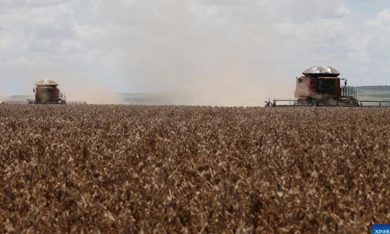 Farming machines harvest soybeans at the Nativa farm near Brasilia, Brazil, Feb. 11, 2023. Photo: Xinhua