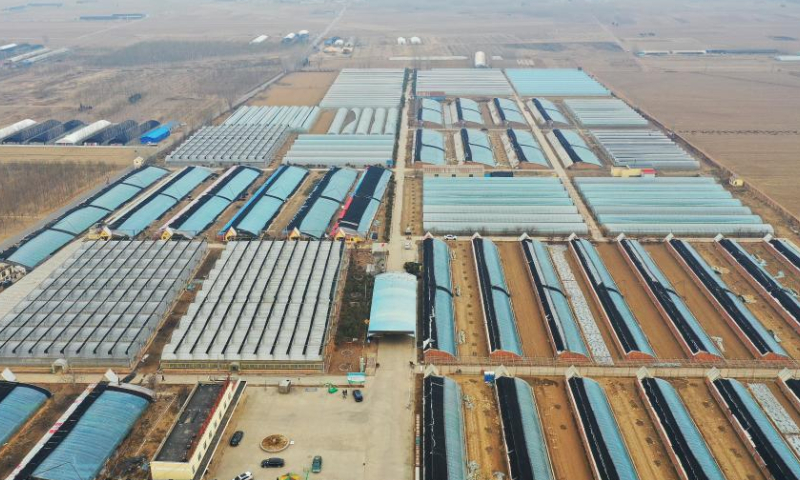 This aerial photo taken on Feb. 17, 2023 shows the specialized cooperative for vegetables run by Zhang Shasha in Suning County, north China's Hebei Province. 33-year-old Zhang Shasha runs a specialized cooperative for vegetables based in Suning County, her hometown. She started this vegetables business together with her husband in 2015. Photo: Xinhua