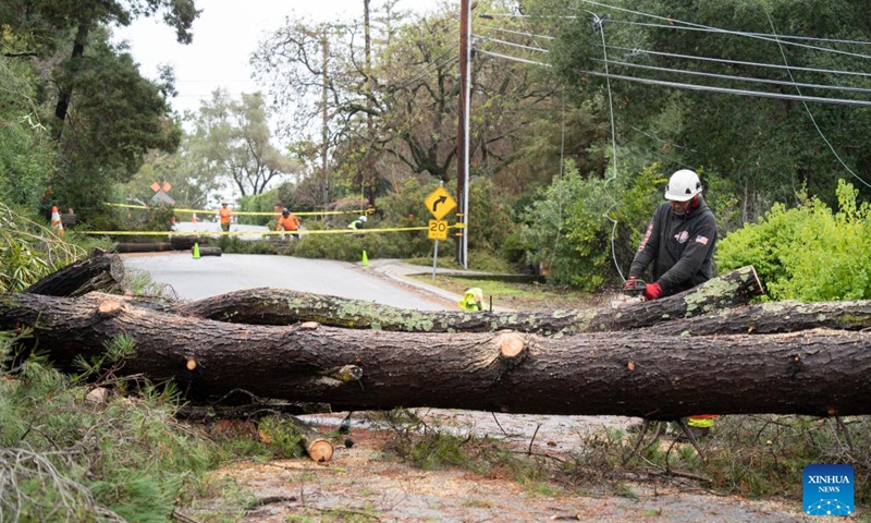 People clear a road blocked by fallen trees after a heavy winter storm in San Mateo County of San Francisco Bay Area, California, the United States, Jan. 9, 2023.(Photo: Xinhua)