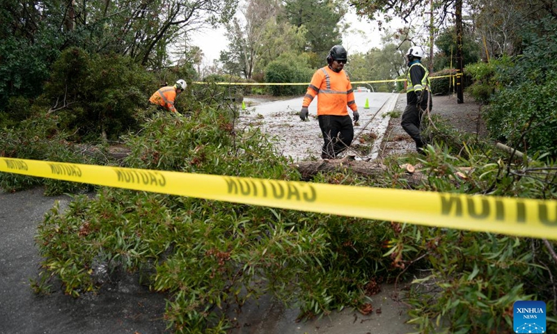 People clear a road blocked by fallen trees after a heavy winter storm in San Mateo County of San Francisco Bay Area, California, the United States, Jan. 9, 2023.(Photo: Xinhua)