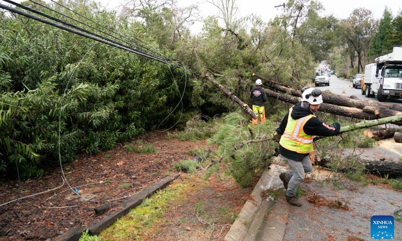 People clear a road blocked by fallen trees after a heavy winter storm in San Mateo County of San Francisco Bay Area, California, the United States, Jan. 9, 2023.(Photo: Xinhua)