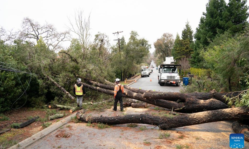 People clear a road blocked by fallen trees after a heavy winter storm in San Mateo County of San Francisco Bay Area, California, the United States, Jan. 9, 2023.(Photo: Xinhua)