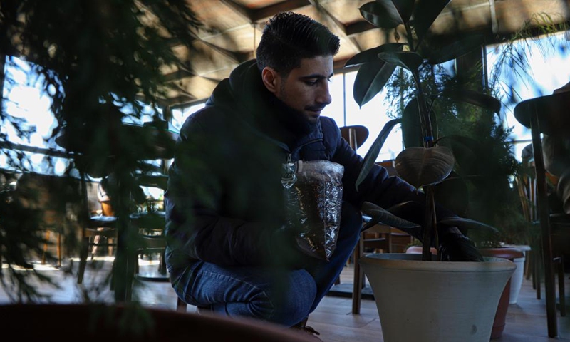 Abdullah al-Safadi uses coffee grounds as fertilizer for plants in Gaza City, on Jan. 19, 2023. Abdullah al-Safadi, a Gazan young man in his 20s, has been promoting the recycling of coffee grounds into organic fertilizer in his community. (Photo by Rizek Abdeljawad/Xinhua)