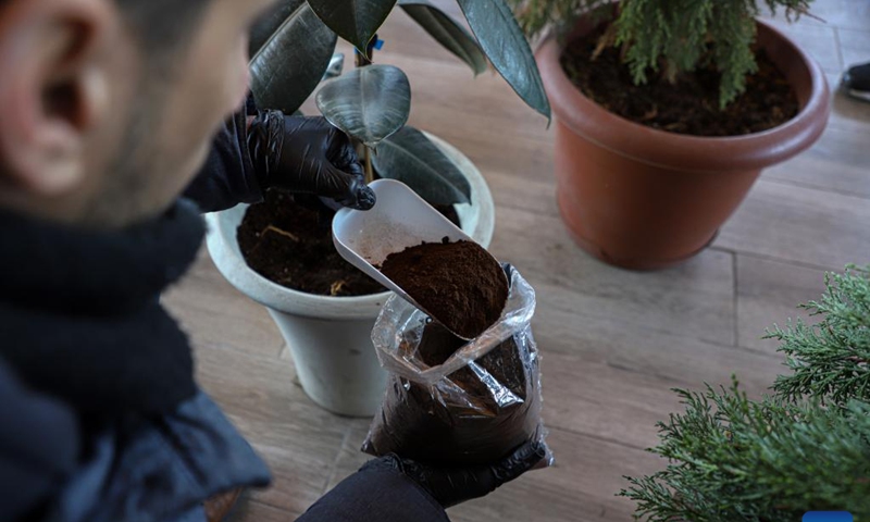 Abdullah al-Safadi uses coffee grounds as fertilizer for plants in Gaza City, on Jan. 19, 2023. Abdullah al-Safadi, a Gazan young man in his 20s, has been promoting the recycling of coffee grounds into organic fertilizer in his community. (Photo by Rizek Abdeljawad/Xinhua)