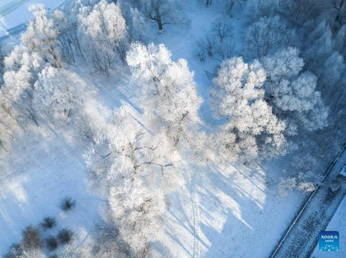 This aerial photo taken on Jan. 30, 2023 shows the rime scenery near the Songhua River in Jilin City, northeast China's Jilin Province.(Photo: Xinhua)