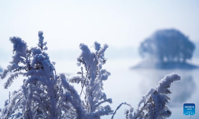 This photo taken on Jan. 30, 2023 shows the rime scenery near the Songhua River in Jilin City, northeast China's Jilin Province. (Photo: Xinhua)