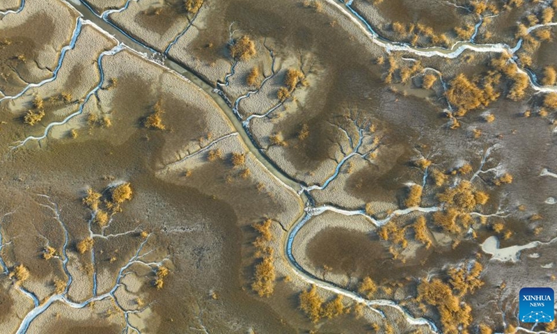 This aerial photo taken on Feb. 1, 2023 shows a view of frozen tidal creeks in the wetland of Liaohe River estuary in Panjin, northeast China's Liaoning Province.(Photo: Xinhua)