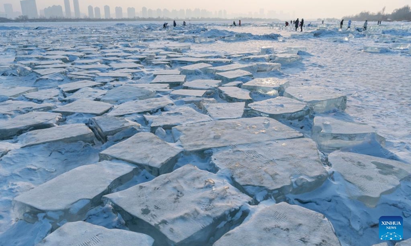 This phote taken on Feb. 1, 2023 shows ice cubes at a section of Songhuajiang River in Harbin, northeast China's Heilongjiang Province. This section of frozen river used to be the source of natural ice for installations at the Harbin Ice and Snow World. Some giant ice cubes were cut out but left there unused.(Photo: Xinhua)