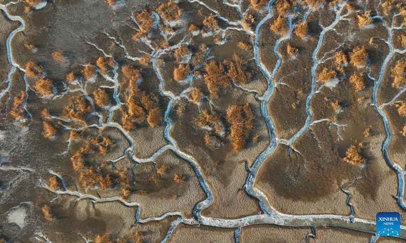 This aerial photo taken on Feb. 1, 2023 shows a view of frozen tidal creeks in the wetland of Liaohe River estuary in Panjin, northeast China's Liaoning Province.(Photo: Xinhua)