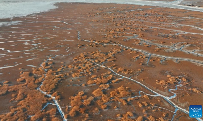 This aerial photo taken on Feb. 1, 2023 shows a view of frozen tidal creeks in the wetland of Liaohe River estuary in Panjin, northeast China's Liaoning Province.(Photo: Xinhua)