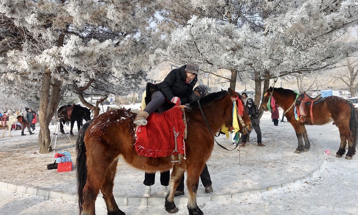 A visitor ride hourse under fog trees.Photo: Lin Xiaoyi/GT