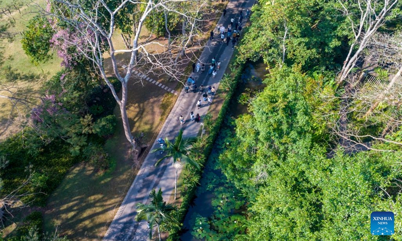 This aerial photo taken on Feb. 12, 2023 shows tourists visiting the Xishuangbanna Tropical Botanical Garden of the Chinese Academy of Sciences (CAS) in Mengla County, Xishuangbanna Dai Autonomous Prefecture, southwest China's Yunnan Province. Xishuangbanna received over 2.7175 million visits during this year's Spring Festival holiday, up 554.51 percent year on year, according to local culture and tourism department.(Photo: Xinhua)