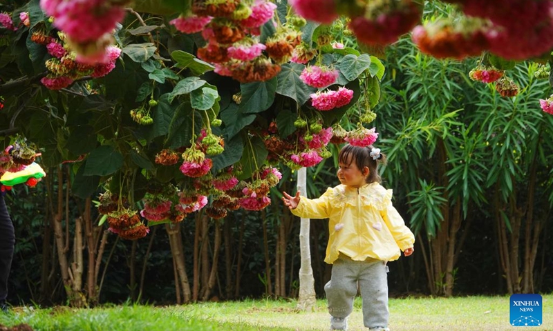 A child plays among flowers at Nanhu Park in Nanning, south China's Guangxi Zhuang Autonomous Region, Feb. 11, 2023.(Photo: Xinhua)