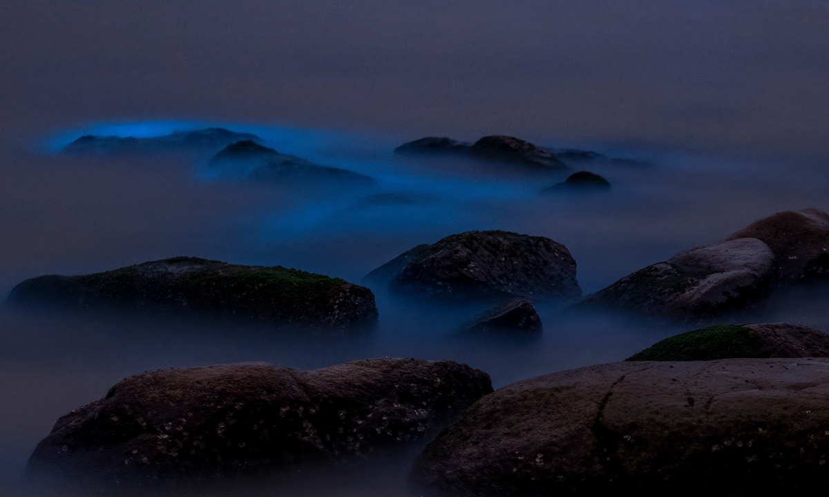 Fluorescent sea appears in Zhuhai, South China's Guangdong Province in the early morning of February 13, 2023. The magical landscape is called bioluminescence, caused by algae or seagrass that when disturbed by waves or currents, release a huge source of light that illuminates the water around them. Photo: VCG