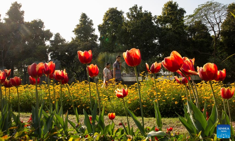 People pass by blooming tulips on the roadside in New Delhi, India, Feb. 15, 2023.(Photo: Xinhua)