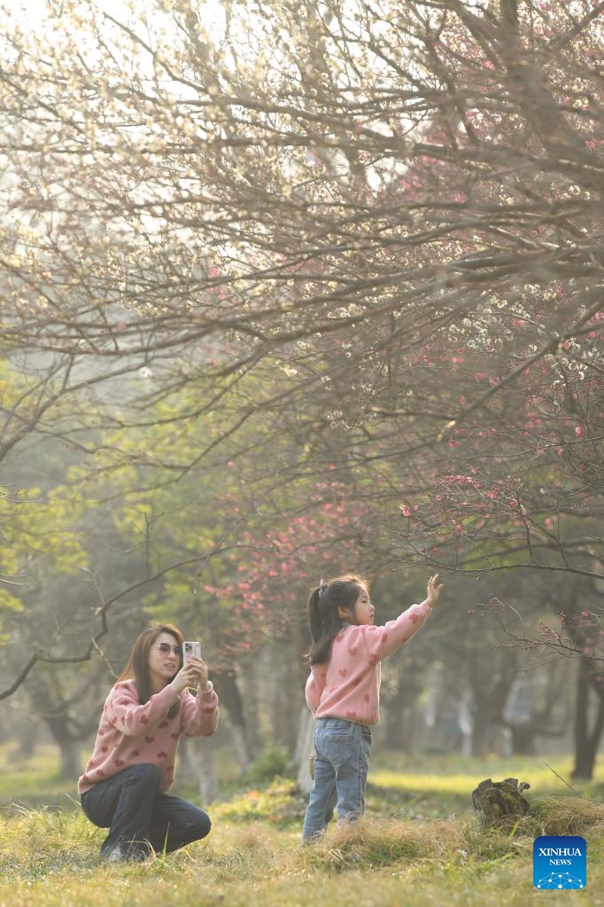 Tourists enjoy plum blossoms by boat in the Xixi National Wetland Park in Hangzhou, east China's Zhejiang Province, on Feb. 18, 2023. As temperatures rise, more than 20,000 plum trees are in full bloom in the Xixi National Wetland Park, attracting crowds of tourists.Photo: Xinhua