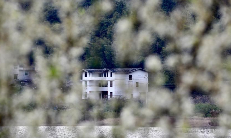 Plum blossoms are seen at Daxi Village of Yongtai County, southeast China's Fujian Province, Feb. 24, 2023.

Ancient villages in Yongtai County have been attracting many tourists as plum trees are in blossom in early spring. (Xinhua/Jiang Kehong)